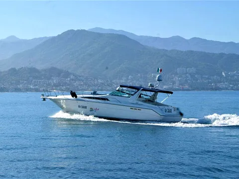 Sea Ray 42 — motor yacht available for private charter