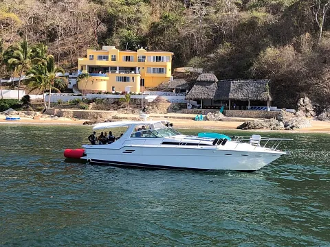 Sea Ray 46 — motor yacht available for private charter