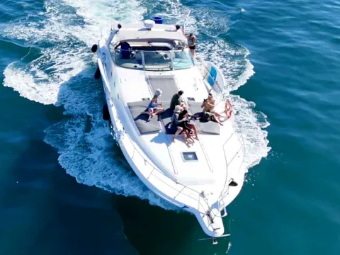 Sea Ray 55 — motor yacht available for private charter