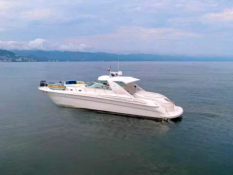 Sea Ray 60 — motor yacht available for private charter